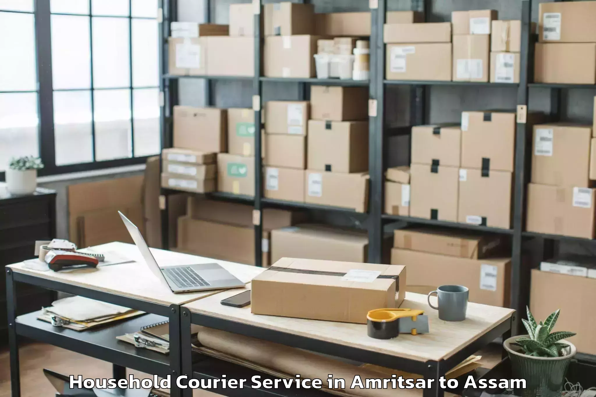 Reliable Amritsar to Shivsagar Household Courier